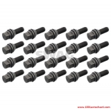 V60936254DS Болт за джанта за автомобил Dacia Sandero от 2008 г.