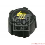 V2208503117DS Капачка, резервоар за охладителна течност за автомобил Dacia Sandero от 2008 г.