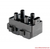 V060717060012DS Запалителна бобина за автомобил Dacia Sandero от 2008 г.