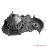 V157800694DS Водна помпа за автомобил Dacia Sandero от 2008 г.