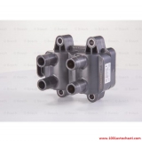 V098622106000694D Възбуждаща бобина за автомобил Dacia Logan от 2004г