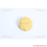 V86101203117FF Капачка, резервоар за охладителна течност за Форд FOCUS от 1998 до 2004 г.